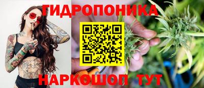 PSILOCYBIN Азнакаево